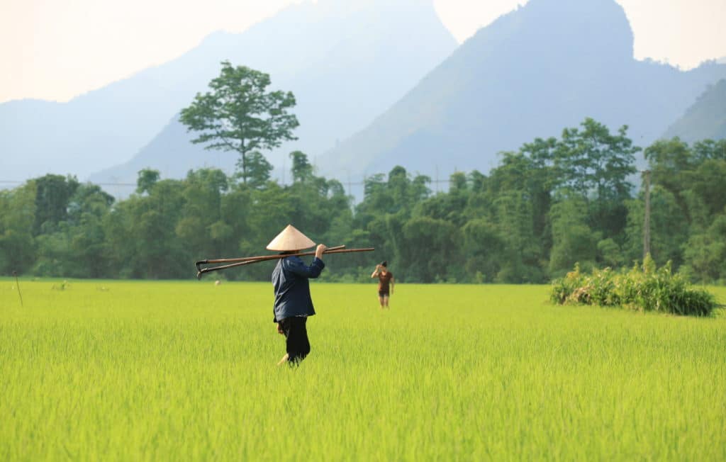 Ba Be National Park is a reserve in Bac Kan Province, Northeast Vietnam, set up to protect a freshwater lake along with surrounding limestone and lowland evergreen forests. It is located about 260 kilometers north of Hanoi.